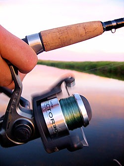 Some Michigan lawmakers hope to pass new legislation that would prevent the use of Asian carp as fishing bait.