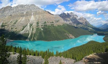 physical sensors / The beautiful color of Peyto Lake in the Canadian Rockies is regulated by the turbidity of its waters due to inputs from a nearby glacier.