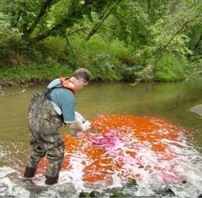 physical sensors / Scientists use dyes, such as rhodamine, to track the movement of water through the landscape. Here, USGS scientists release rhodamine into a river in Indiana. (Image from 9.)