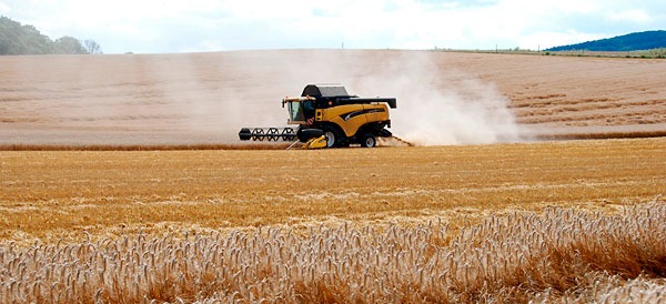 Regulations for agricultural runoff aren’t effective enough, primarily because they’re not mandatory, according to a new report.