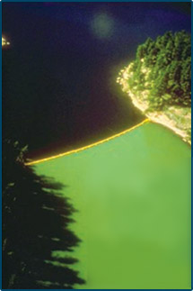 In order to test what causes eutrophication, scientists used a curtain to separate two sides of Lake 226, part of Canada’s Experimental Lakes Area. Carbon and nitrogen were added to both sides and phosphorus was added to only one side. The effects, a large algal bloom and consequent eutrophication, were evident and can be seen on the lower half of the above photo where carbon, nitrogen, and phosphorus were added. Image from 9. 