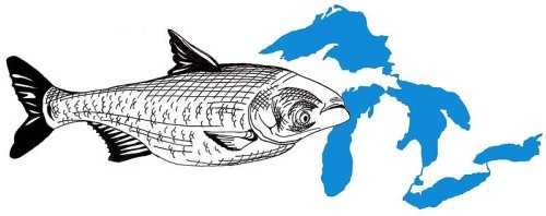 Asian Carp