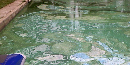 A recent bloom of blue-green algae in Ohio’s Grand Lake A recent bloom of blue-green algae in Ohio’s Grand Lake
