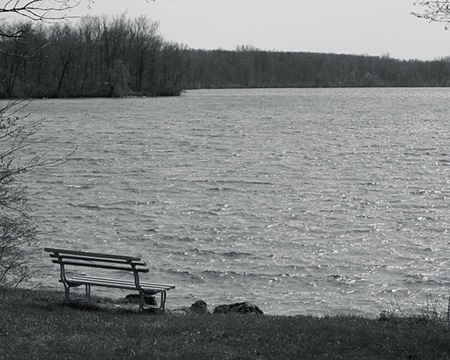 Prairie Creek Reservoir in Indiana was recently impaired by a significant algal bloom, which was likely caused by excessive nutrients in the water.