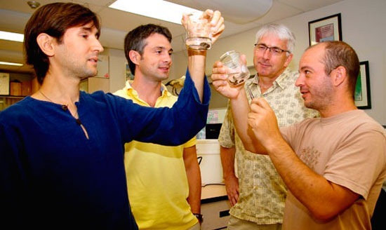 Researchers from the Great Lakes Institute at the University of Windsor examine samples of golden mussels.