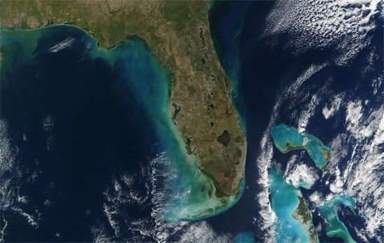 Florida MODIS satellite imagery