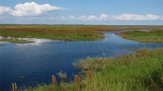 Lake Okeechobee