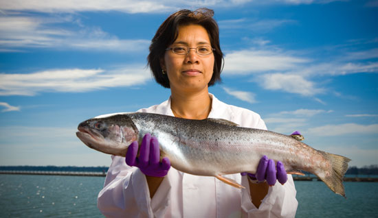 Chemist Diana Aga, while investigating pollutants in fish, holds a steelhead trout.