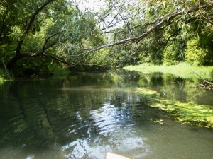 Grand Calumet River