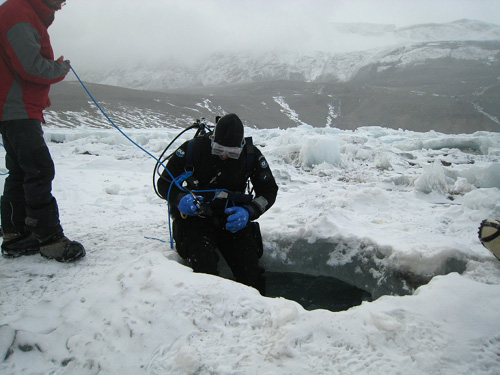 After penetrating the frozen surface of Lake Joyce, researchers began conducting dives as deep as 120 feet.