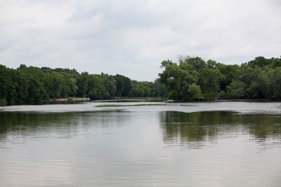 The Fox River carries more phosphorus into Lake Michigan than any other waterway.
