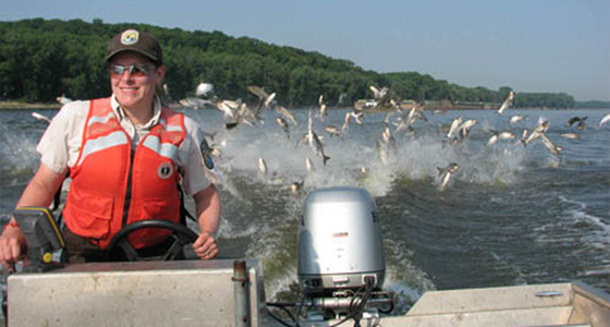 asian carp