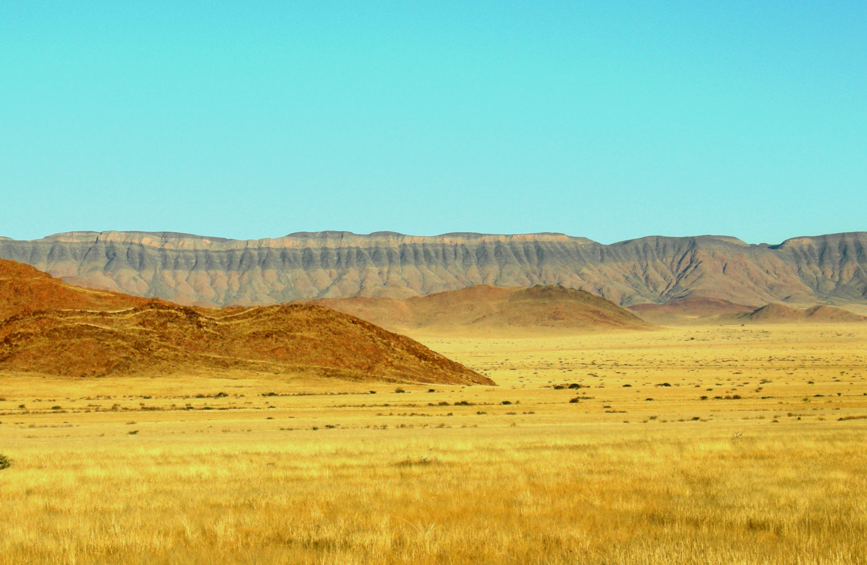 barchan_dunes_near_kalahari_desert_namibia