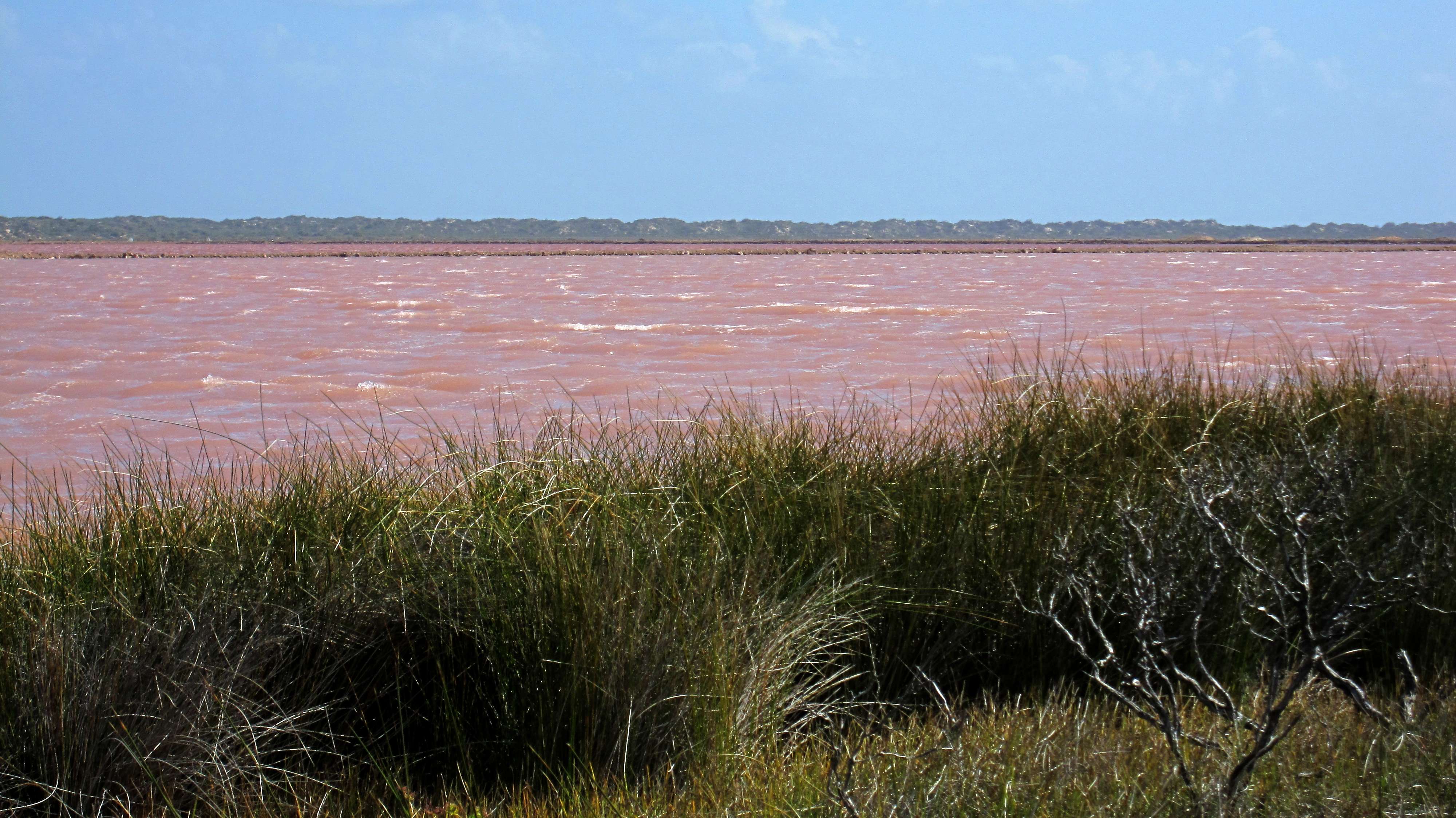 hutt_lagoon