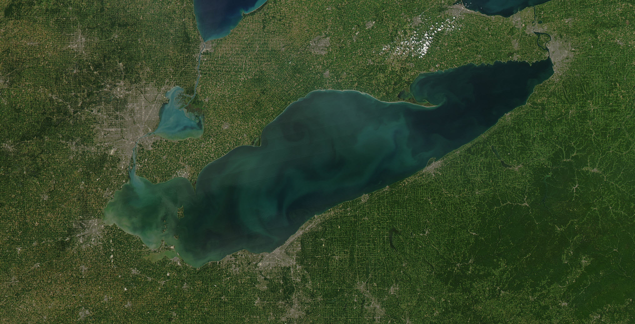 lake_erie_phytoplankton_bloom