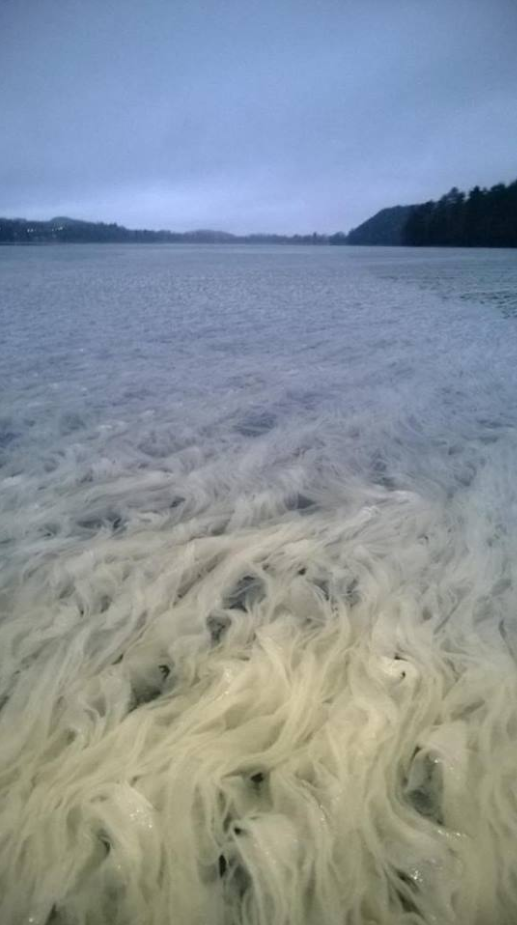 spaghetti-like formations suolijarvi lake