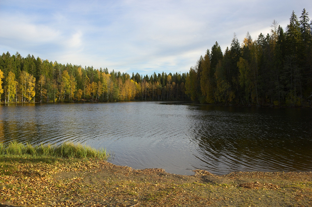 spaghetti-like formations suolijarvi lake