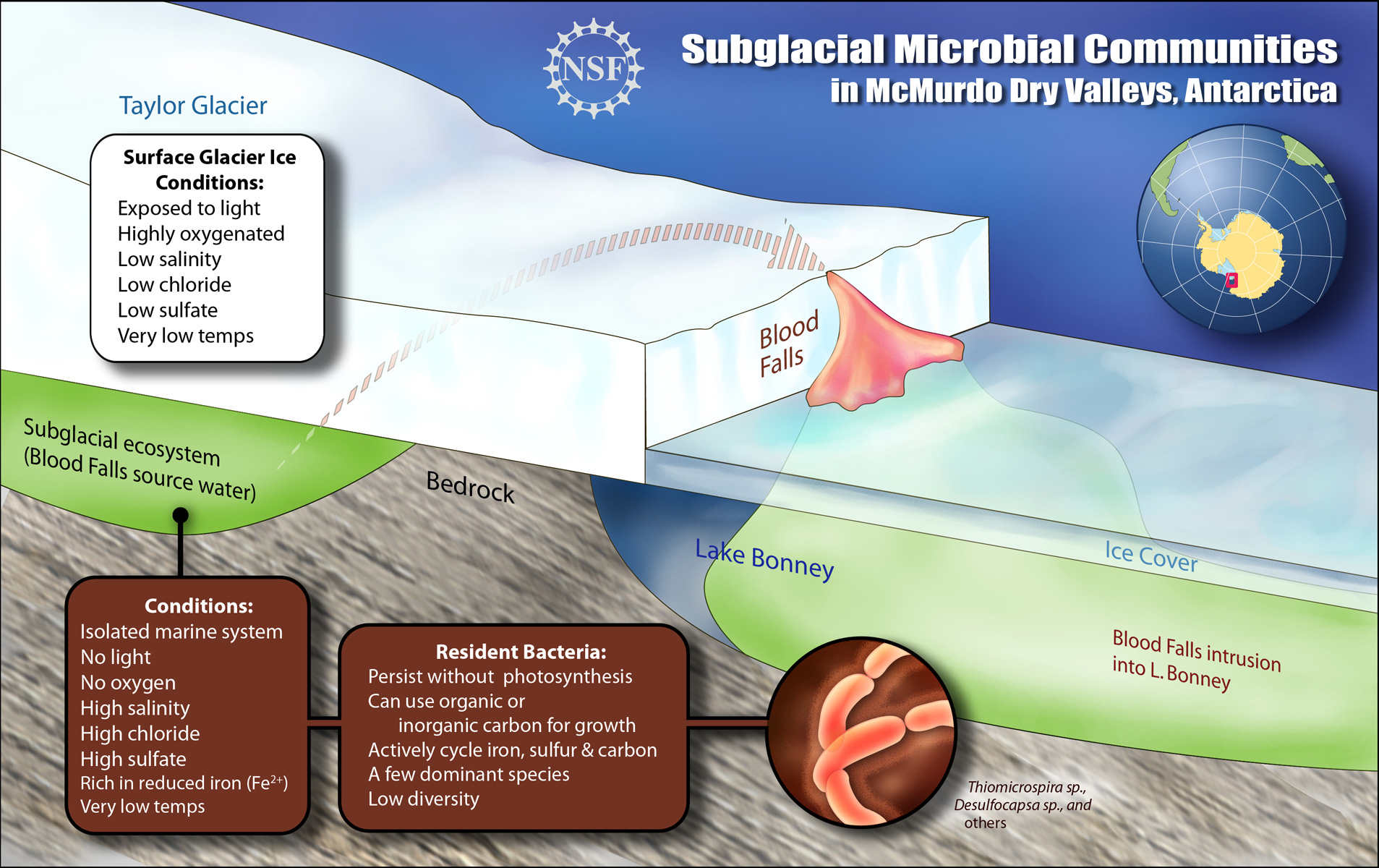 Blood-falls-national-science-foundation