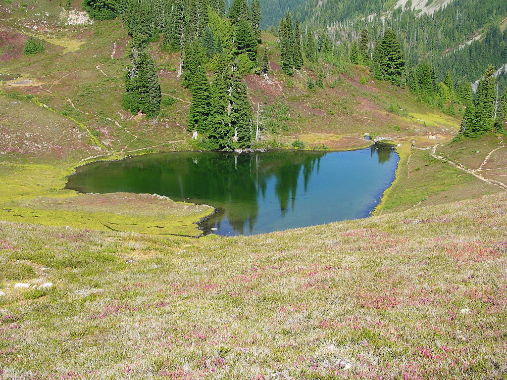 Heart-Lake-Olympic-National-Park-Washington