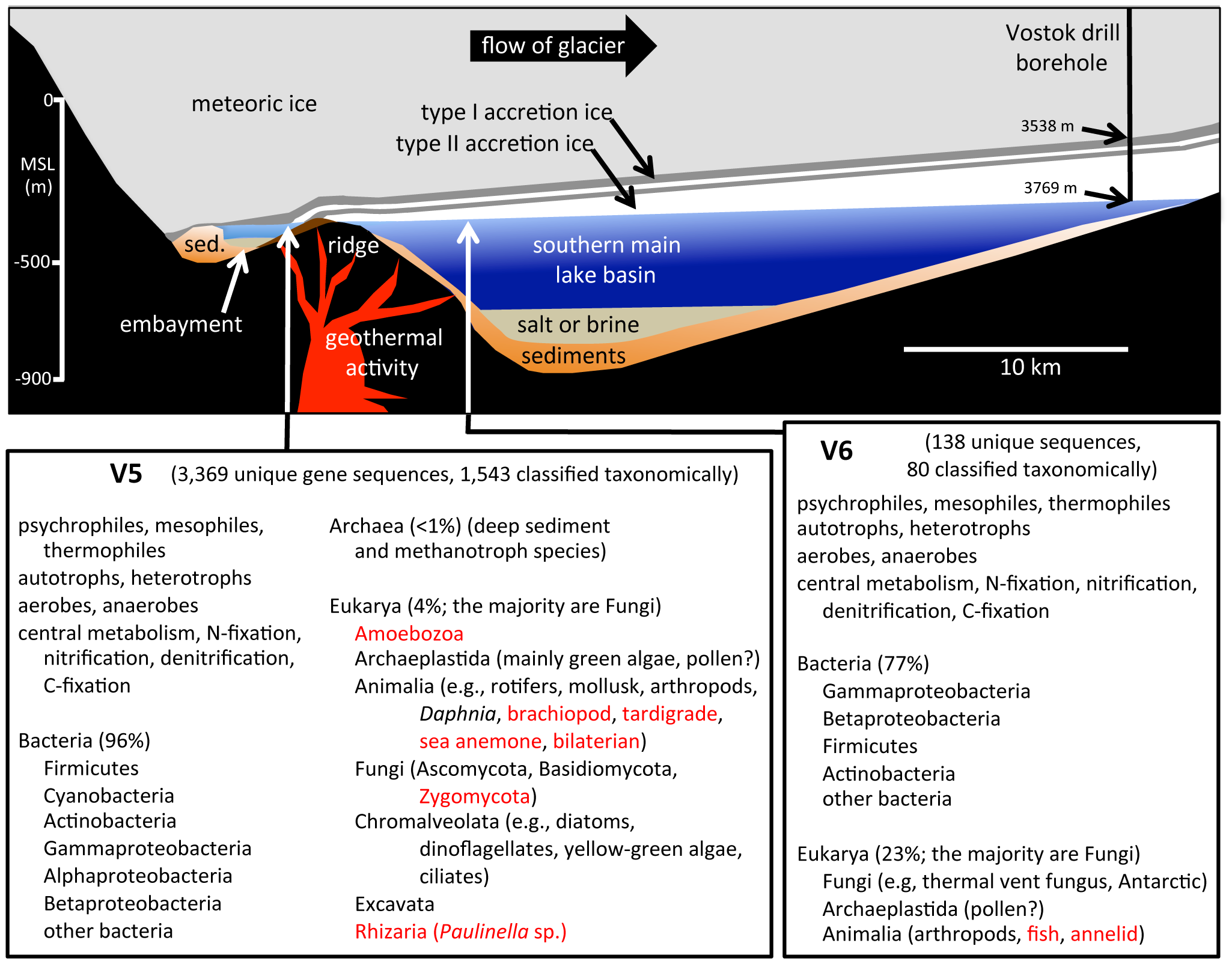 cross-section-of-lake-vostok