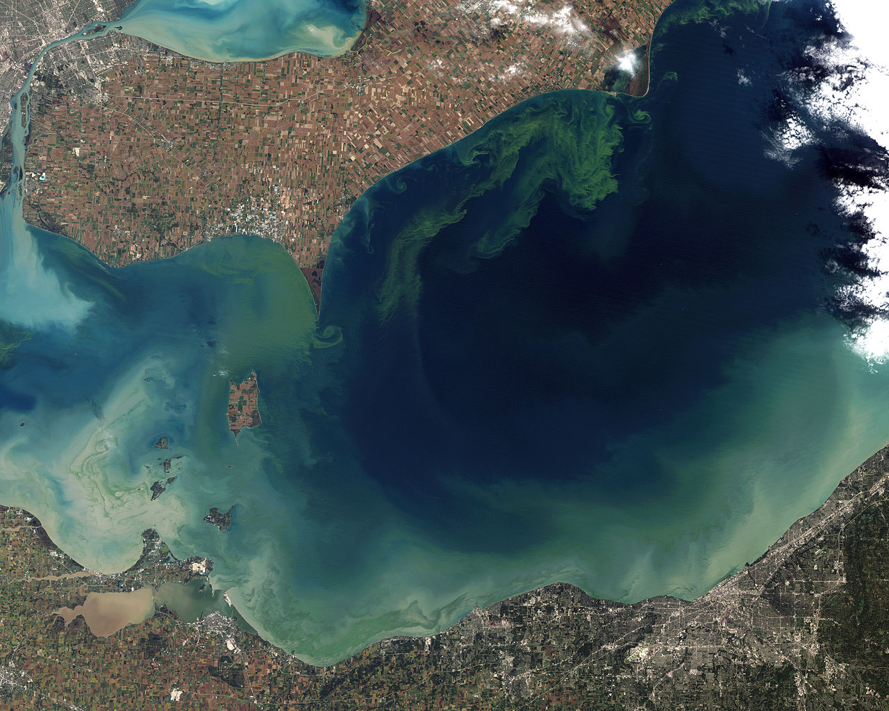 algae bloom lake erie