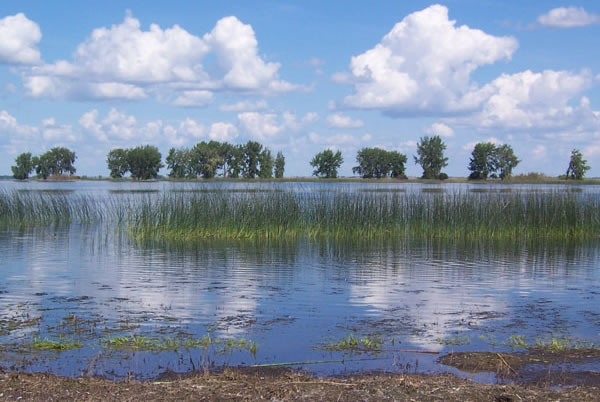 environment canada last mountain lake