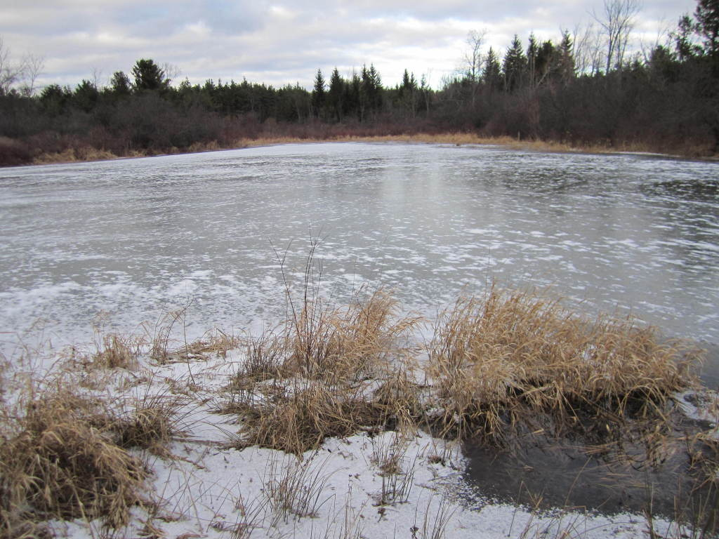 ice-covered-pond-december-2011