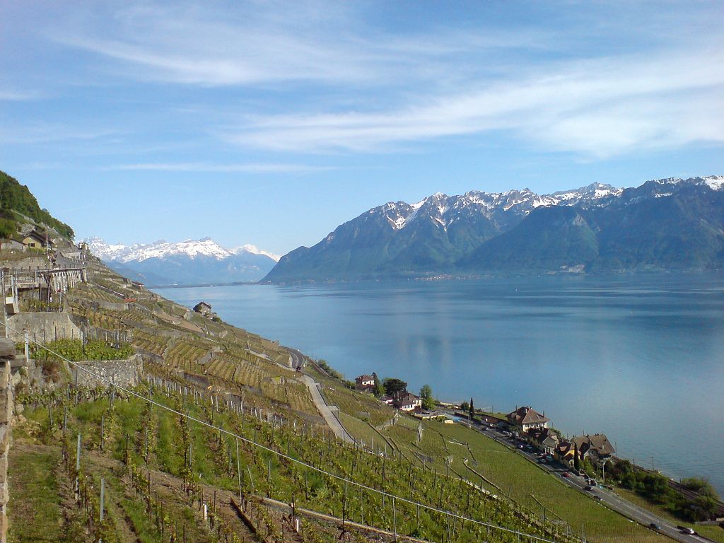 Lavaux-Lake-Geneva