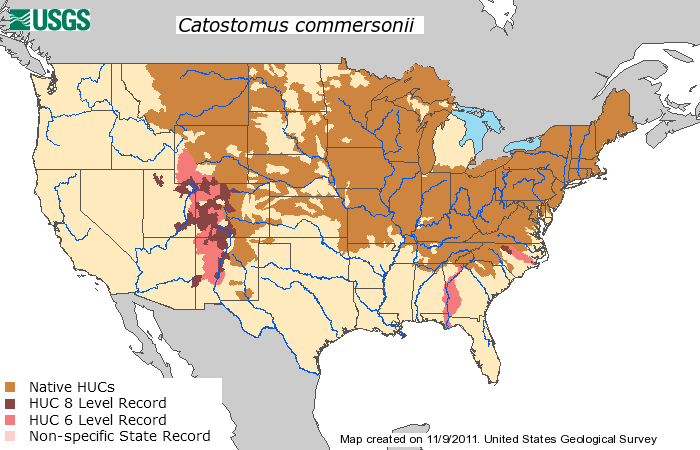 HUC_Dispersal_Map_-_Catostomus_commersonii