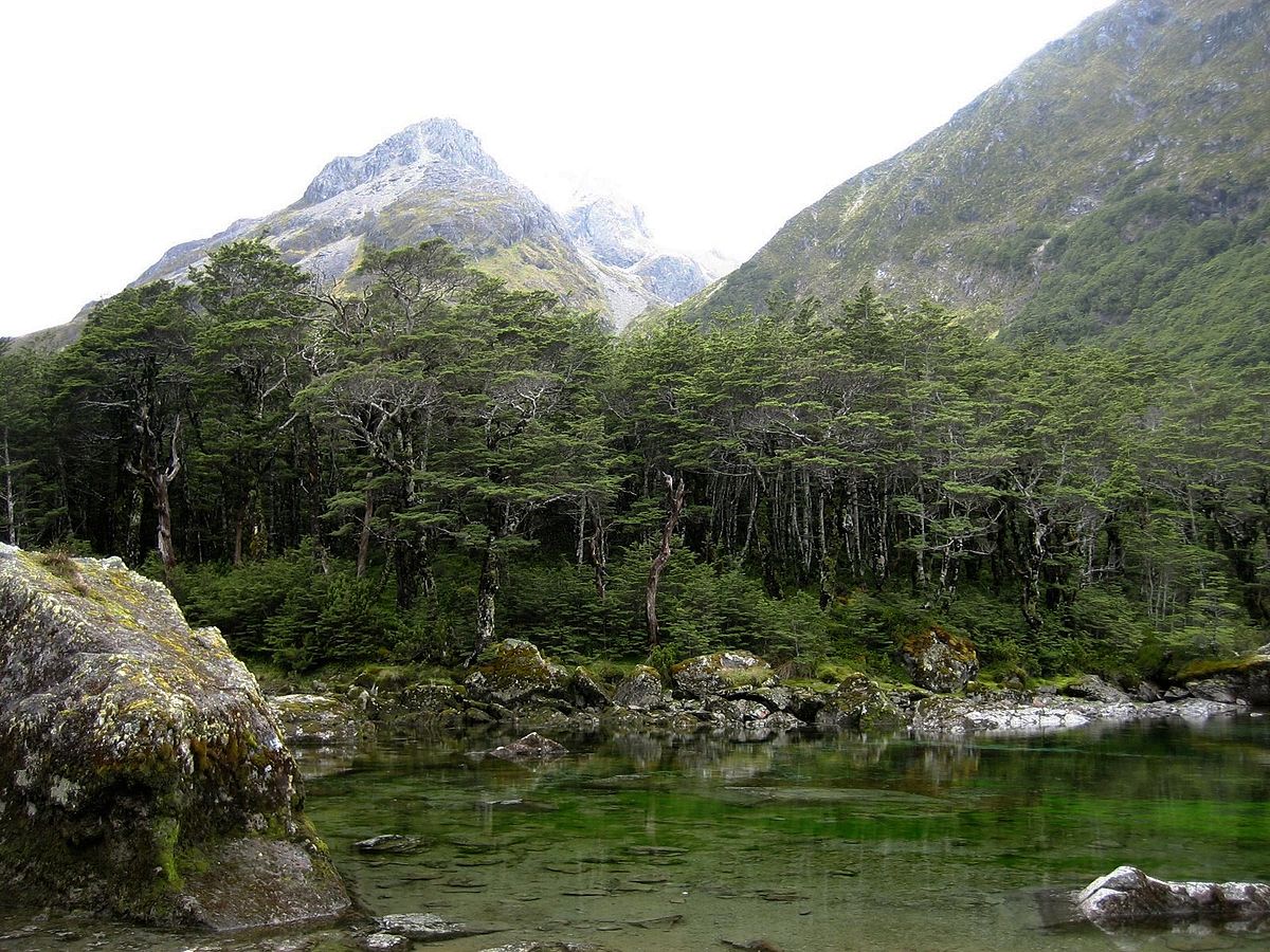 five clearest lakes / Blue lake New Zealand