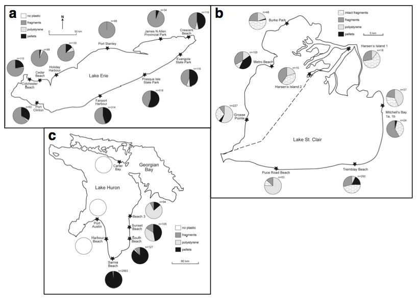 microplastics abundance plastic types along shoreline