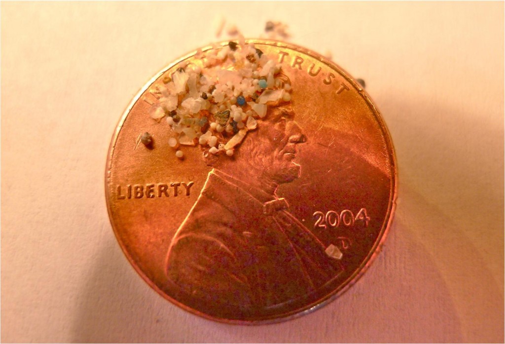 penny microplastics pollution