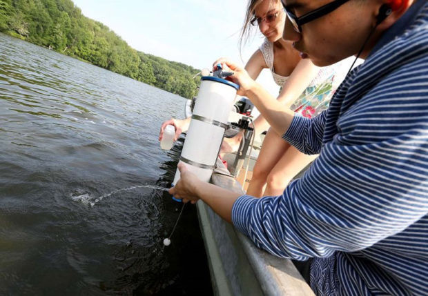 lake menomin algal blooms