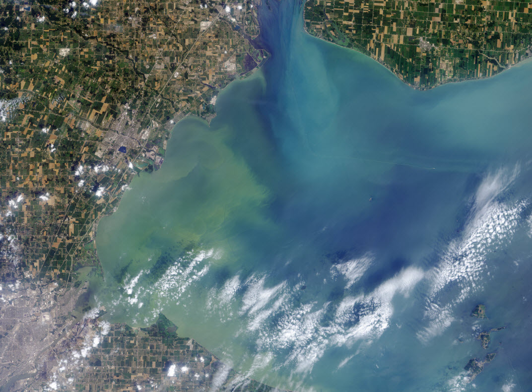 algal blooms in great lakes 