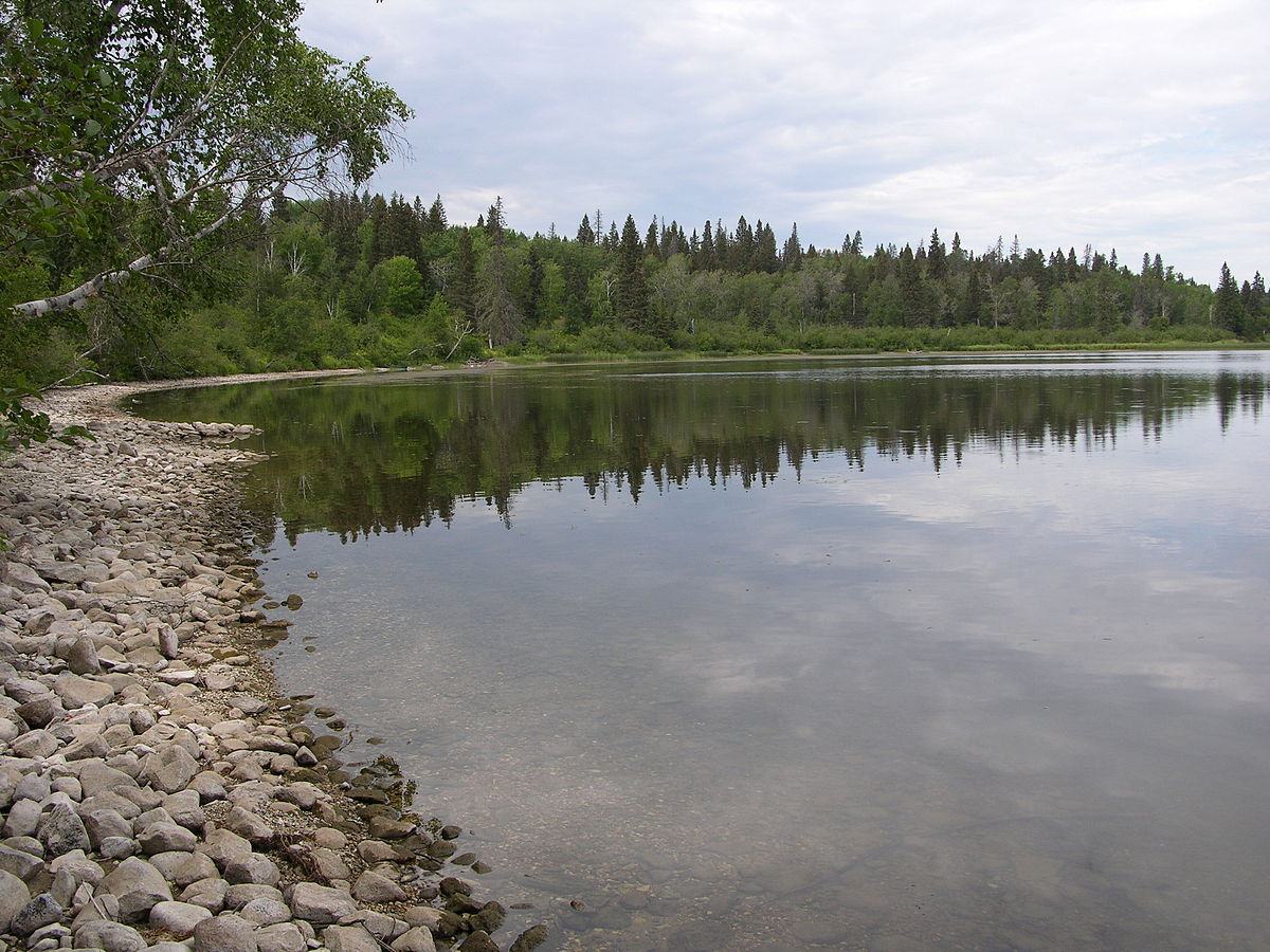 Lake shoreline habitats Riding Mountain National Park