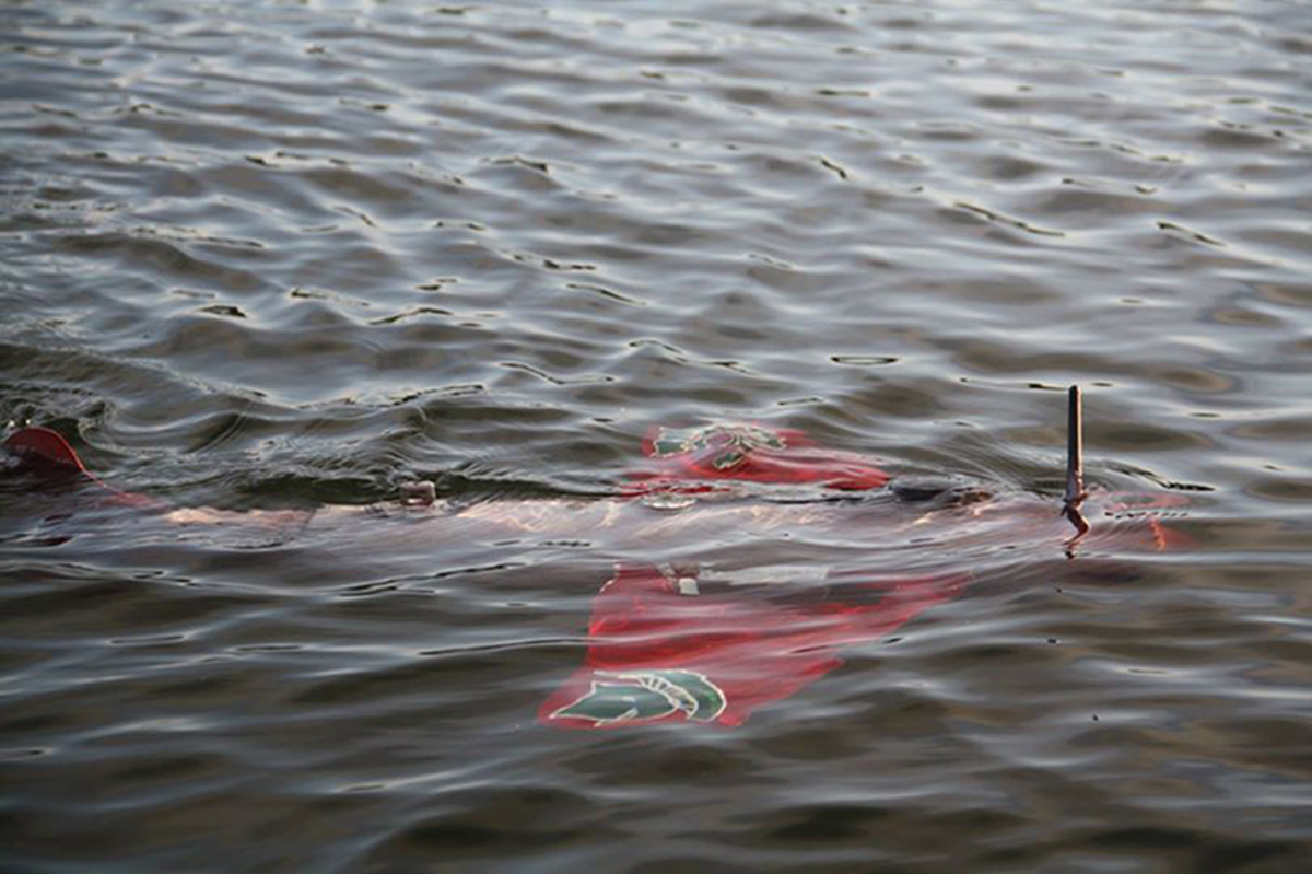 glider to study great lakes fish