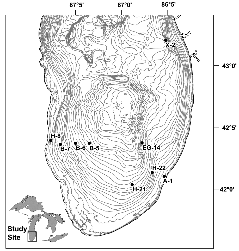 figure-1_parasites_diporeia