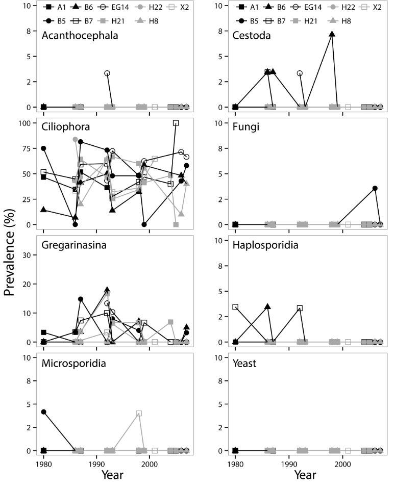 figure-4_parasites_diporeia