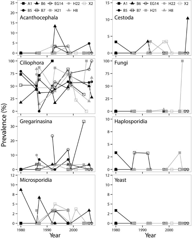 figure-5_parasites_diporeia