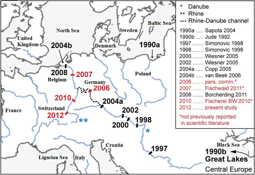 southern-european-round-goby-invasion