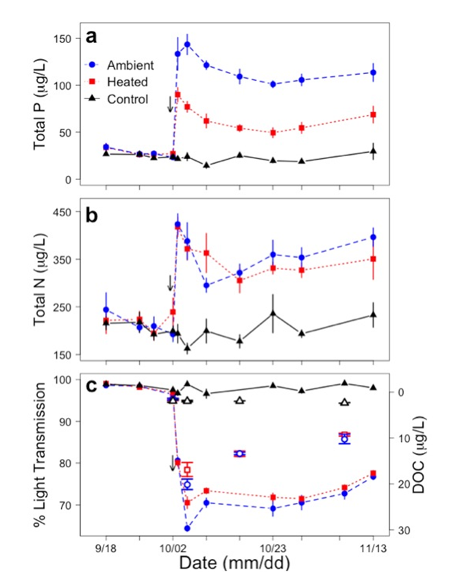 figure-3-fey