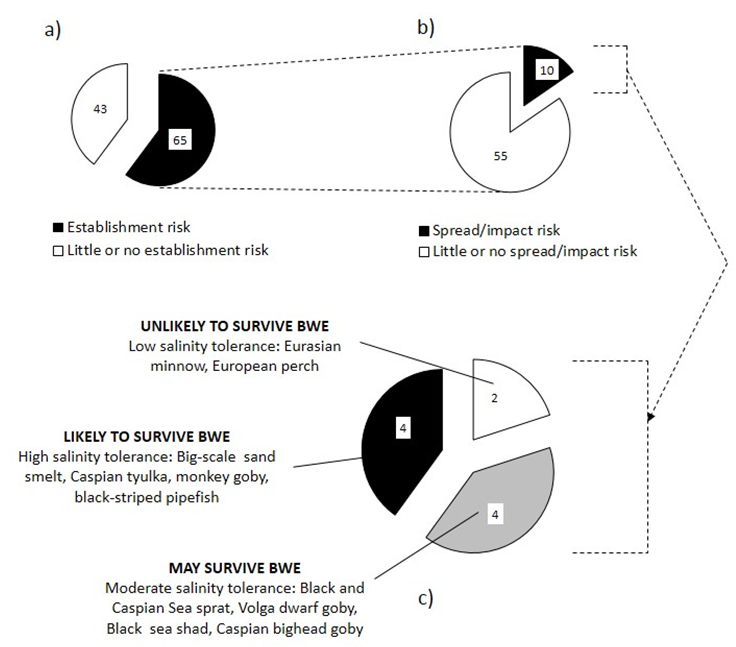 invasion risk assessment