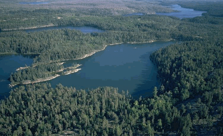Aerial view of the Experimental Lakes Area. (Credit: University of Guelph)