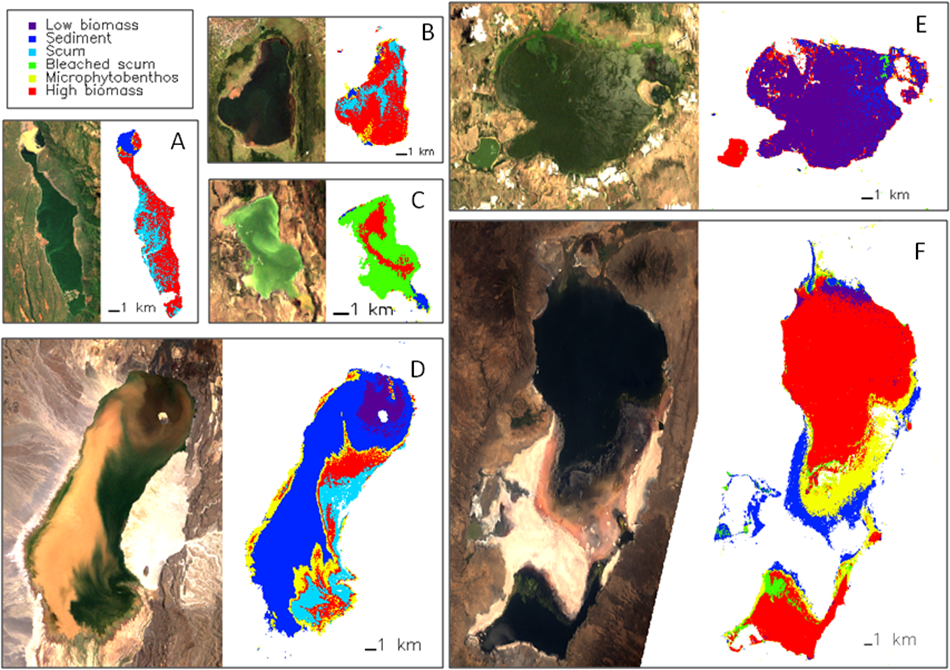 Figure 2. True colour Landsat imagery and classified maps for lakes Bogoria (A), Nakuru (B), Elmenteita (C), Logipi (D), Naivasha (E) and Natron (F).