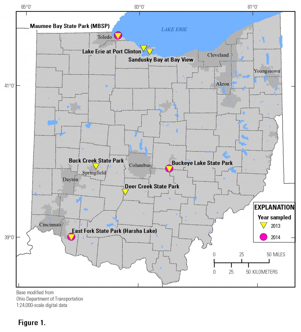 Rapid Algal Bloom Forecasts In Development For Ohio Lakes Lake Scientist