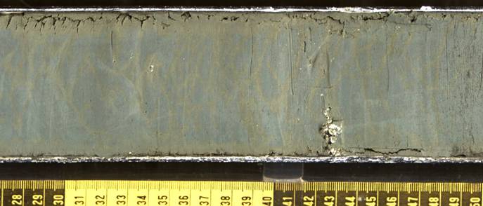 Lake Malawi sediment core