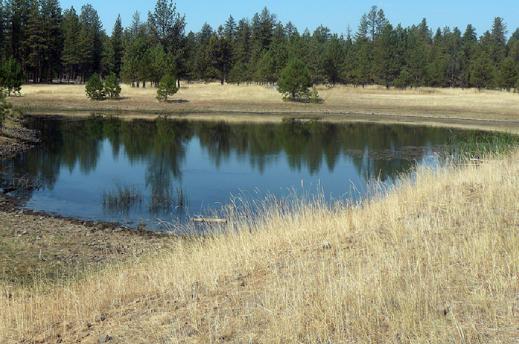 pond greenhouse gas