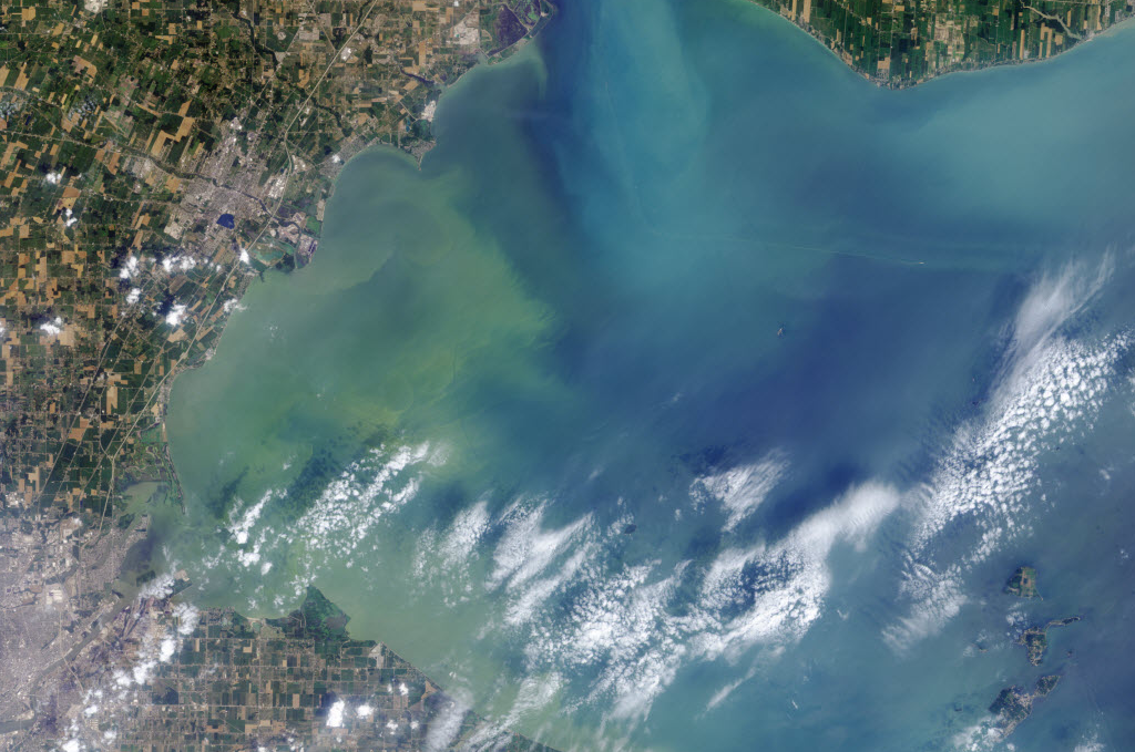 lake erie algae