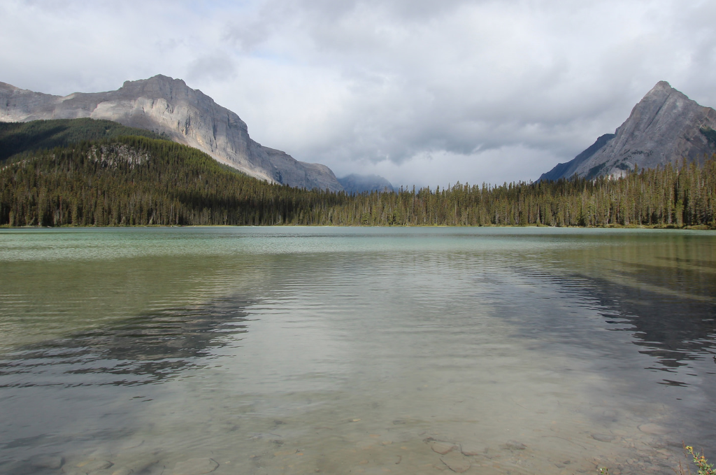 iron fights algal blooms