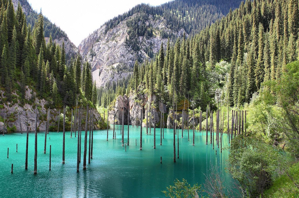 lake kaindy underwater forest